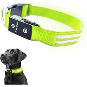 Tractive LED Light Up Dog Collar USB Rechargeable Waterproof (Blue)