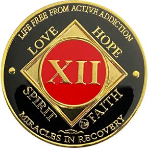Simply Minimal NA 12 Year Gold Color Plated-Medallion, Recovery Token, NA Token, Narcotics Anonymous Coin