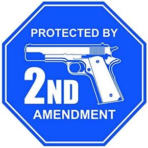 Protected by 2nd Amendment Sticker Decal Gun Rights 2a Molon Labe FA Vinyl - 4.00 Wide