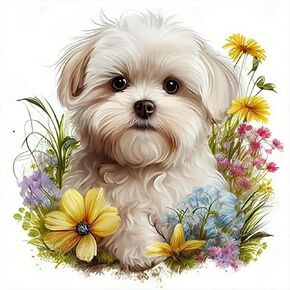 JFYHAB Diamond Painting Kits for Adults, Yorkie Diamond Art Kits Adults Beginner Diamond Painting Animal Dog, Diamond Painting Kit for Parent Home Wall Decor 12x12 Inch in Kuwait