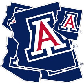 Desert Cactus University of Arizona Sticker UA Wildcats Stickers Vinyl Decals Laptop Water Bottle Car Scrapbook T3 (Type 3-4)