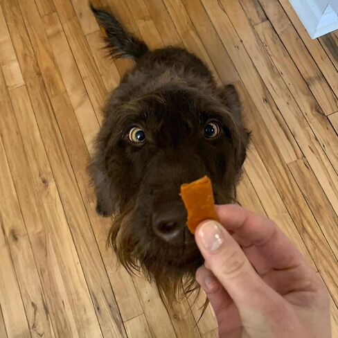 Wrap-Ups: Pill Wrapper - Bacon - 30 Servings Bag, Dogs & Cats, Pet Treat Hides Any Size Pills, All Natural Limited Ingredients, USA Made in Saudi Arabia