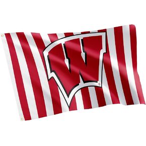 Desert Cactus University of Wisconsin Flag Badgers UW Madison Flag Banners 100% Polyester Indoor Outdoor 3x5 feet Flags (Design B)
