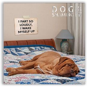 Dog Pooping Calendar 2024, 12 x 12 inch, Funny Gift, White Elephant, Gag Gift, Secret Santa