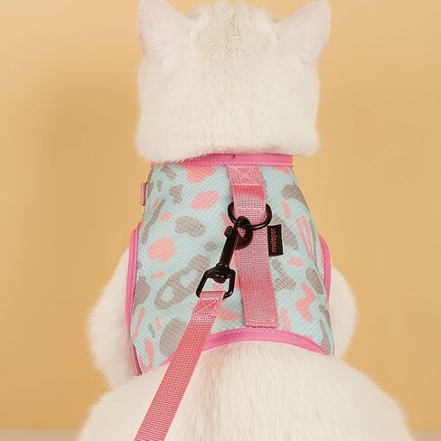 Cat Harness and Leash Set for Walking Escape Proof,Cat and Small Dog Harness Soft Mesh Harness Adjustable Cat Vest Harness for Pet Kitten Puppy in Saudi Arabia
