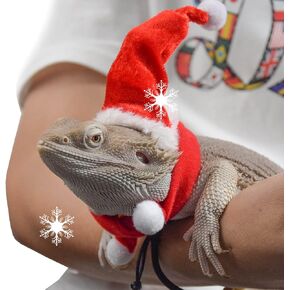 Bearded Dragon Clothes Christmas Costume Reptile Santa Hat Scarf Ferret Xmas Hat Pet Costume Clothes Outfit Small Animal Costume Clothing Mini Reptile Straw Hat with Antlers Adjustable Strap (Red)