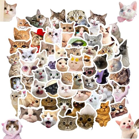 100 PCS Cat Meme Stickers for Kids,Cute Sticker Pack for Vinyl Waterproof Stickers Decals Laptop Tablet Phone Case Scrapbook Folders Skateboard,Girls Boys Rewards and Room Decorations Birthday in Saudi Arabia