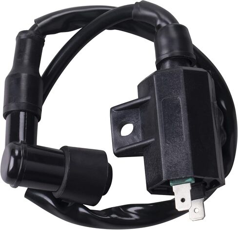 ملف الإشعال متوافق مع كاواساكي KVF400 KVF360 KVF300 بايو 400 250 220 البراري 400 360 300 KLF220 KLF BN125 in Kuwait