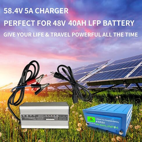 OCELL 58.4V 5A, AC-DC Battery Charger, Dedicated Best Solution for 48V Lithium Iron Phosphate, LiFePO4 Battery Recharging, Support Charging Solar Off-Grid, Golf Cart, Backup Power, RV, Marine in Saudi Arabia