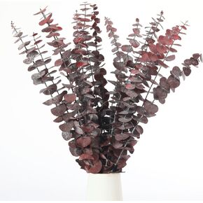 16 Pcs Dried Eucalyptus Stems, 17'' Natural Fresh Eucalyptus Leaves Branches Hanging for Shower, Preserved Real Blue Eucalyptus Plant Live for Home SPA Wall Bathroom Wedding Party Vase Decor