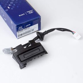 Genuine OEM Hyundai Outside Hdl Lock Assembly-T Lid 81260-2V010 Veloster 12-17 with Camera