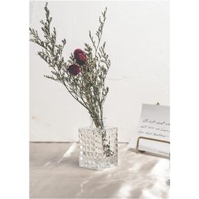 Set of 3 Small Glass Vase for Centerpieces,Glass Bud Vase Hydroponic Vase,Mini Table Vase Clear Flower Vase Decorative for Wedding Farmhouse Party Home Decor(Clear 1)