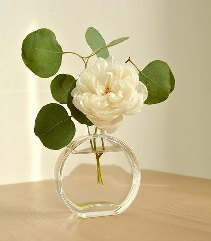 Set of 3 Small Glass Vase for Centerpieces,Glass Bud Vase Hydroponic Vase,Mini Table Vase Clear Flower Vase Decorative for Wedding Farmhouse Party Home Decor(Clear 1) in Saudi Arabia