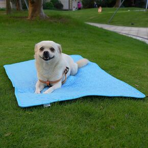 Dog Cooling Mat, Ice Silk Mat, Keep Pets Cool, Machine Washable Pet Cooling Pad for Beds, Kennels, Sofas, Beds, Floors, Car Seats-(28''×22''Large, Blue)
