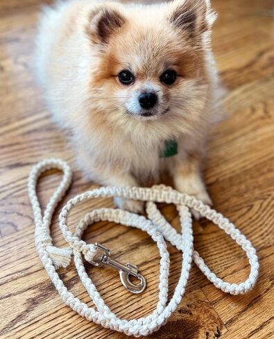 Macrame Dog Leash, Braided Dog Leash, Durable Dog Leash, Eco Friendly Dog Leash, Organic Dog Leash, Rope Leashes for Dogs, Dog Accessories,Handmade Dog Leash, Pet Supplies in Saudi Arabia