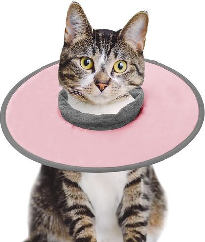 Cat Recovery Collar, Adjustable Cat Neck Protective Cat Collar Waterproof Elizabethan E Collar for Cats Kittens Puppies After Surgery to Stop Licking Wounds (Pink, Size M) in Saudi Arabia