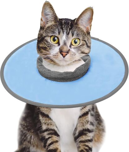 Cat Recovery Collar, Adjustable Cat Neck Protective Cat Collar Waterproof Elizabethan E Collar for Cats Kittens Puppies After Surgery to Stop Licking Wounds (Pink, Size M) in Saudi Arabia