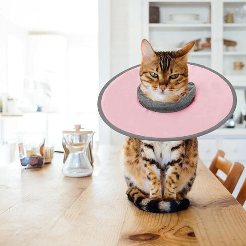 Cat Recovery Collar, Adjustable Cat Neck Protective Cat Collar Waterproof Elizabethan E Collar for Cats Kittens Puppies After Surgery to Stop Licking Wounds (Pink, Size M) in Saudi Arabia