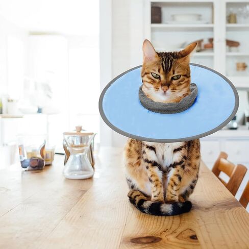 Cat Recovery Collar, Adjustable Cat Neck Protective Cat Collar Waterproof Elizabethan E Collar for Cats Kittens Puppies After Surgery to Stop Licking Wounds (Pink, Size M) in Saudi Arabia