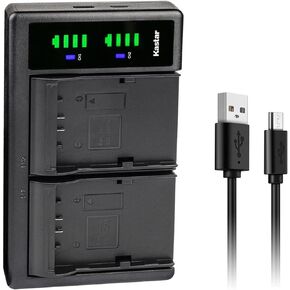 Kastar 2-Pack Battery and LTD2 USB Charger Replacement for JVC GY-HM600, GY-HM600E, GY-HM600EC, GY-HM620U, GY-HM650, GY-HM650U, GY-HM650SC, GY-HM660U, GY-HM660SC Cameras and DT-X Monitors