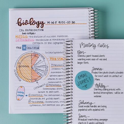 Erin Condren 7" x 9" Spiral Bound College Ruled Notebook - Painted Grogu - 160 Lined Page Note Taking & Writing Notebook. 80Lb Thick Mohawk Paper. Stickers Included in Saudi Arabia