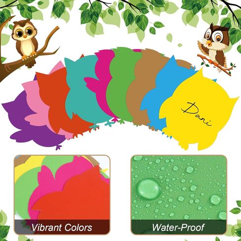 Geyee 108 Pcs Owl Bulletin Board Decorations Set Colorful Owl Cutouts for Bulletin Board Owls Themed Bulletin Board Supplies for Party School Classroom Bulletin Board Craft Home Wall Decoration in Saudi Arabia