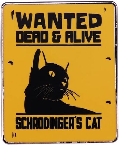 Schrodinger Cat Enamel Lapel Pin Quantum Badge Brooch For Physics and Science Fans, Quantum Mechanics Pins for Backpack or Jacket in Saudi Arabia