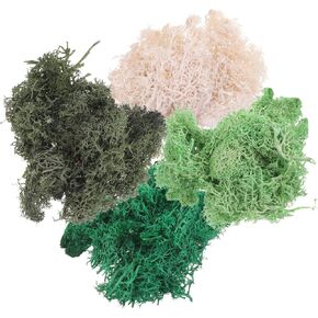 SEWACC 4 Packs Artificial Floral Preserved for Crafts Potted Plants Floral Arrangements Fish Tank Home Artistic Garden Decoration