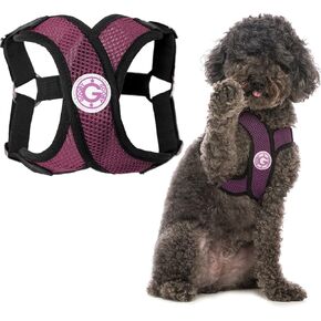 Gooby Comfort X Step in Harness - Purple, X-Large - No Pull Small Dog Harness Patented Choke-Free X Frame - Perfect on The Go Dog Harness for Medium Dogs No Pull or Small Dogs