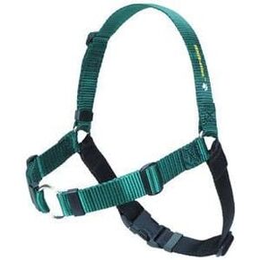 Softouch Sense ation No Pull Dog Harness Green Large