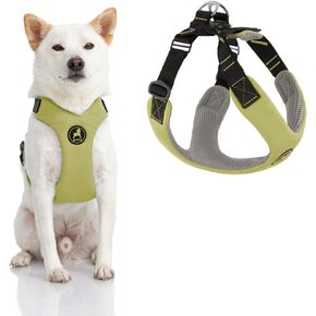 Gooby Convertible Z Harness - Scratch Resistant Outdoor Harness with Shock Absorption - Ergonomic Harness for Small or Medium Dogs