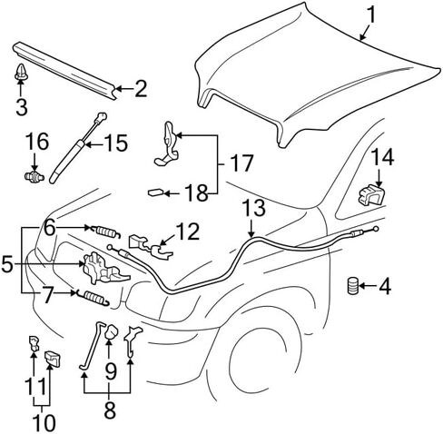 2 قطعة 21.5 في دعامات الرفع الأمامية متوافقة مع تويوتا 2001-2007 سيكويا / 2000-2006 دعامات غطاء تندرا 00 01 02 03 04 05 06 07 in Kuwait