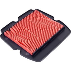XuLong Air Filter 17210-MCA-A60 17210-MCA-003 Compatible with Honda Goldwing 1800 GL1800 2001-2008/Goldwing 1800 GL1800 ABS 2001-2005/Goldwing 1800 GL1800 Airbag 2014-2016