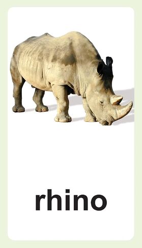 Animal Flash Cards with Fun Facts and Spanish and French Translations for Each Animal in Saudi Arabia