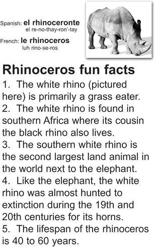 Animal Flash Cards with Fun Facts and Spanish and French Translations for Each Animal in Saudi Arabia