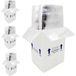 7x6x10" Small Insulated Shipping Box, Perishable Shipping Cooler for Frozen Food Styrofoam Boxes Cold Mailing Packaging Thermo Chill Double Insulated Carton & Aluminum Foil Liner Bag, 4 Pack