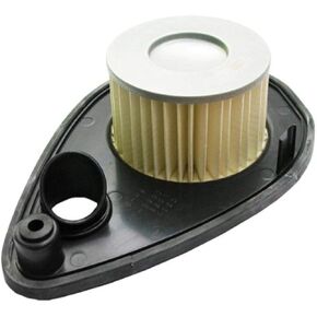Hiflofiltro HFA3804 Premium OE Replacement Air Filter, Black