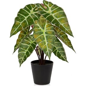 Briful 17'' Fake Plant Real Touch Artificial Alocasia bambino Plant in Black Nursery Pot Faux Alocasia Polly Houseplant for Shelf Tabletop Centerpieces Farmhouse Home Décor, Purple Green