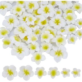 SUNNYCLUE 1 Box 60PCS Flower Cabochons Flatback Plumeria Flower Beads Resin White 3D Mini Hawaii Floral Ocean Sea Beach Cabochon for Jewelry Making Scrapbooking Embellishments Decor DIY Crafts