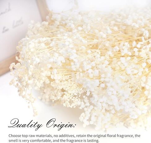 زهور مجففة لأنفاس الطفل، زهور جيبسوفيلا الطبيعية البيضاء الحقيقية 17 بوصة 3 أونصة لترتيبات الزفاف وديكورات المنزل in Kuwait