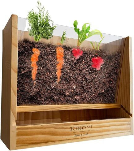 JONOMI Home & Garden ™ عارض جذور الخضروات - زارع داخلي مع نافذة لمشاهدة الجذور أثناء نموها - مثالي للمعلمين والآباء والأجداد - مشروع علمي جذاب للأطفال والطلاب in Saudi Arabia