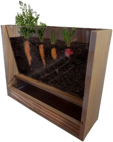 JONOMI Home & Garden ™ عارض جذور الخضروات - زارع داخلي مع نافذة لمشاهدة الجذور أثناء نموها - مثالي للمعلمين والآباء والأجداد - مشروع علمي جذاب للأطفال والطلاب in Saudi Arabia