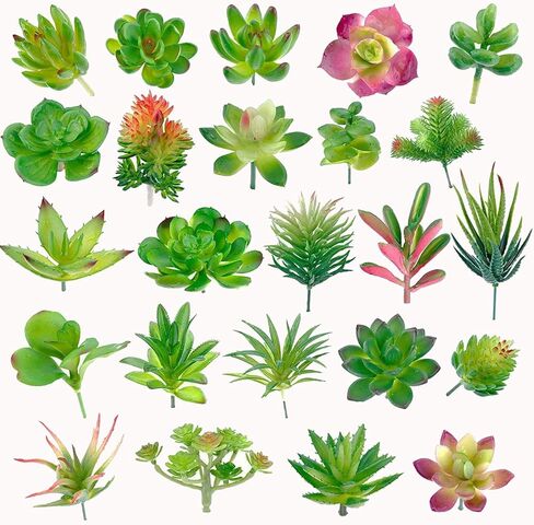 مجموعة من 24 قطعة من النباتات النضرة الاصطناعية غير المحفوظة بوعاء من النباتات العصارية المزيفة الصغيرة لديكور حديقة اللوتس والمناظر الطبيعية in Kuwait