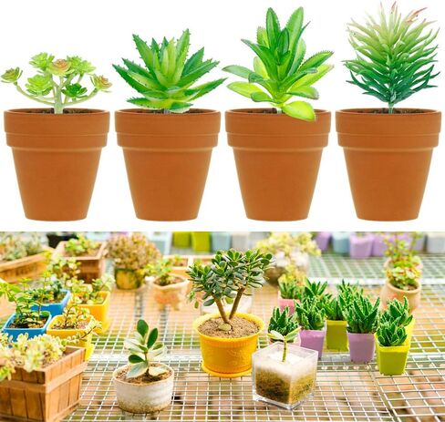 مجموعة من 24 قطعة من النباتات النضرة الاصطناعية غير المحفوظة بوعاء من النباتات العصارية المزيفة الصغيرة لديكور حديقة اللوتس والمناظر الطبيعية in Kuwait