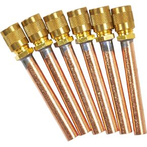C and D Valve CD8405 Cap and Valve Core, 6-Pack
