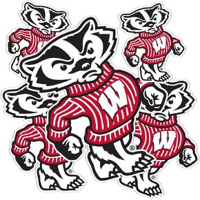 Desert Cactus University of Wisconsin Sticker Badgers UW Madison Stickers Vinyl Decals Laptop Water Bottle Car Scrapbook T3 (Type 3-2)