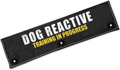 التدريب التفاعلي للكلاب قيد التقدم، مقود أسود للكلاب، ملحق للمشي للكلاب - خدمة تنبيه لف مقود الكلب، علامة رقعة تعريف معلقة - هدية عيد ميلاد لمالك الكلب ومحبي الحيوانات الأليفة in Kuwait