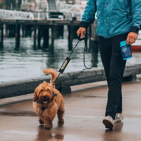 التدريب التفاعلي للكلاب قيد التقدم، مقود أسود للكلاب، ملحق للمشي للكلاب - خدمة تنبيه لف مقود الكلب، علامة رقعة تعريف معلقة - هدية عيد ميلاد لمالك الكلب ومحبي الحيوانات الأليفة in Kuwait