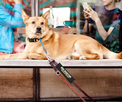 التدريب التفاعلي للكلاب قيد التقدم، مقود أسود للكلاب، ملحق للمشي للكلاب - خدمة تنبيه لف مقود الكلب، علامة رقعة تعريف معلقة - هدية عيد ميلاد لمالك الكلب ومحبي الحيوانات الأليفة in Kuwait