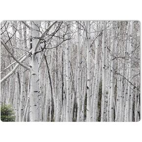 MightySkins Glossy Glitter Skin Compatible with Microsoft Surface Laptop 5 15" Full Wrap Kit - Birch Forest | Protective, Durable High-Gloss Glitter Finish | Easy to Apply | Made in The USA
